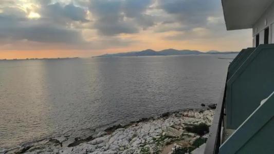 Queens Leriotis - 42