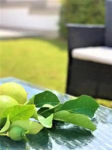 B&B Villa Matari - 11