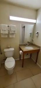 Anaheim National Inn - 110