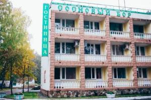 Sosnoviy Bor Hotel, Kursk