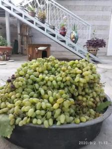 Artson B&B Mini-hotel - 18