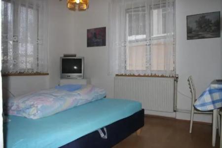 Penzion U Antonickova Pramene - 11