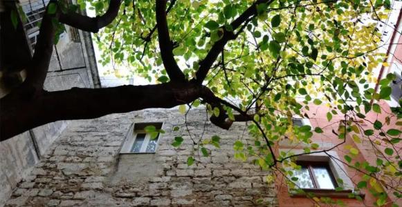 Suite Home Trani - 28