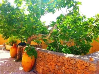 Da Mesciu Nzinu - 10