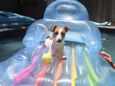 Uzuri Guesthouse CC - 8