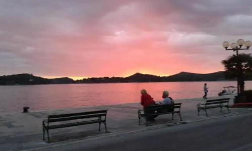 Pension More - 14