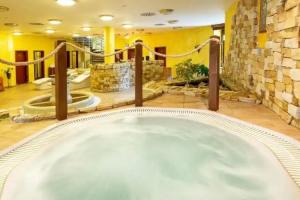 Spa Hotel Bily Horec, Harrachov