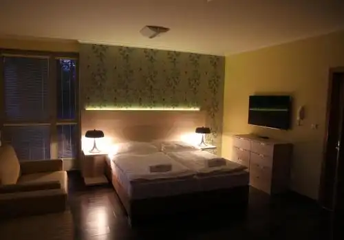 Resident Resort Harrachov & Grotta Spa - 28