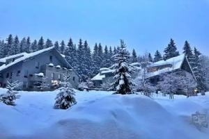 Resident Resort & Grotta Spa, Harrachov