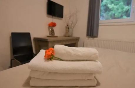 Pension Renata - 47