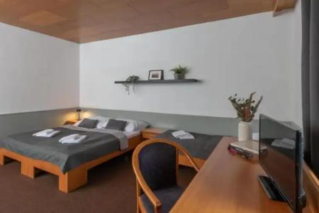 Wellness Šedý Vlk - 22