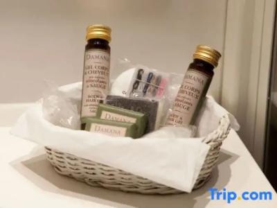 Hôtel Serotel Lutèce - 131