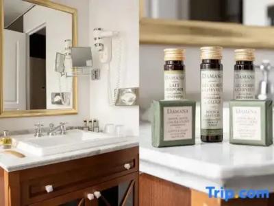 Hôtel Serotel Lutèce - 28