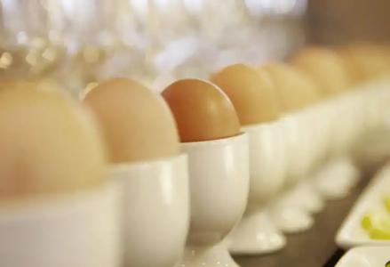 Grand Plaza & Wellness - 11