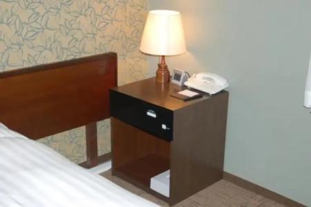 Shizunai Eclipse - 41