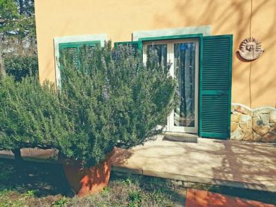 Bed and Breakfast Monticelli - 13