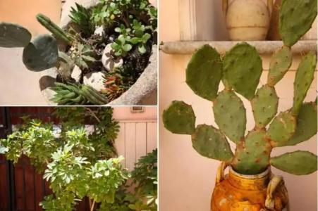 B&B Antica Dimora - 20