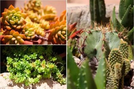 B&B Antica Dimora - 19