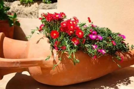 B&B Antica Dimora - 17