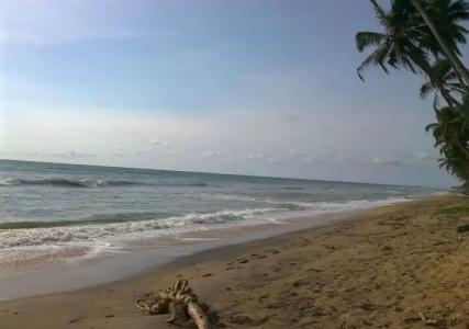 Ocean Ripples Resort - 8