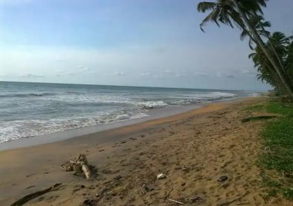 Ocean Ripples Resort - 7