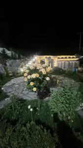 Guest house DEGHCENI - 15