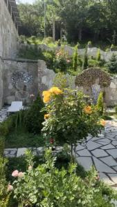 Guest house DEGHCENI - 8