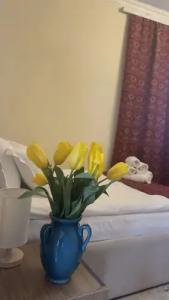 Guest house DEGHCENI - 56