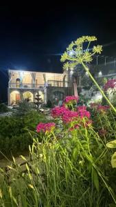 Guest house DEGHCENI - 3