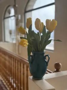 Guest house DEGHCENI - 25