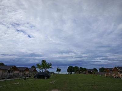 Oazis - 5