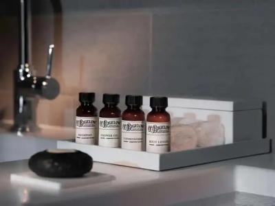 Pullman Paris Tour Eiffel - 10