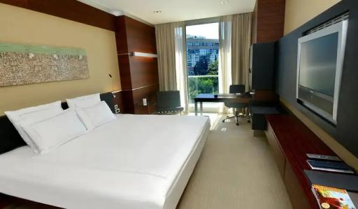 Swissotel Buyuk Efes Izmir - 100