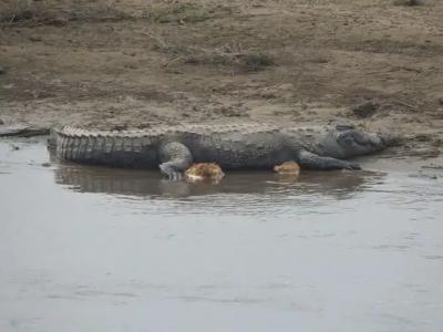 Eco Adventure Resort - 10