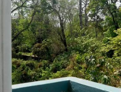 Eco Adventure Resort - 12