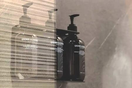 Victoria Palace - 69