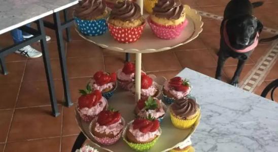 Il Giardino delle Esperidi - 10