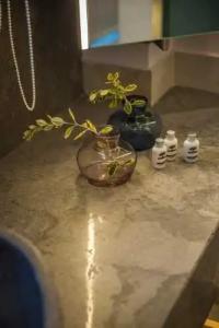 Daluz Boutique - 127