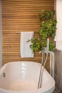 Daluz Boutique - 122