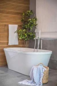 Daluz Boutique - 130