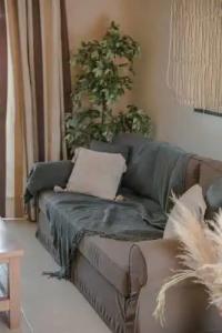 Daluz Boutique - 230