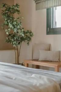 Daluz Boutique - 217