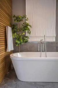 Daluz Boutique - 119