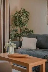 Daluz Boutique - 228