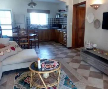 Chillpill Bed & Breakfast - 86