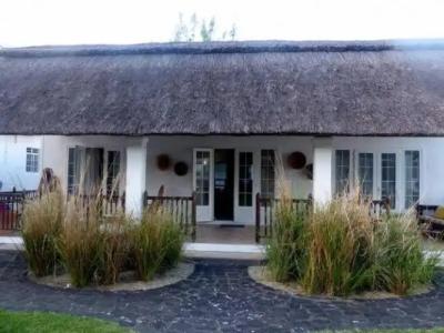 Chillpill Bed & Breakfast - 85