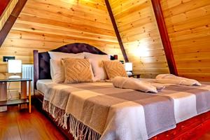 Bekka Hotel, Terskol