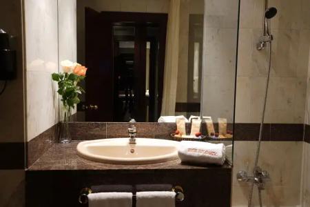 Zenit Diplomatic - 7