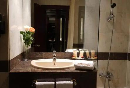 Zenit Diplomatic - 24