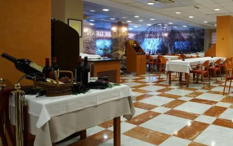 Zenit Diplomatic - 14